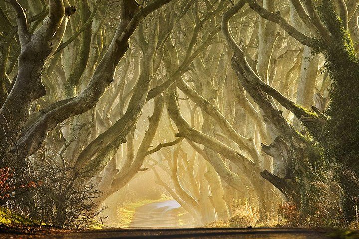 Guided Game of Thrones Tour - Iron Islands & Giant's Causeway from Belfast