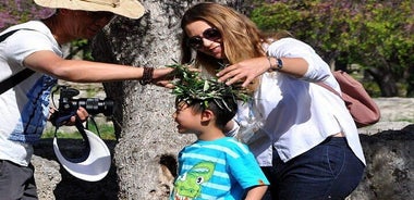  Olympic Site All-Inclusive Private Walking Tour