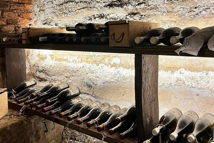 Rioja Wine Tour with Pintxos Lunch & Expert Guide