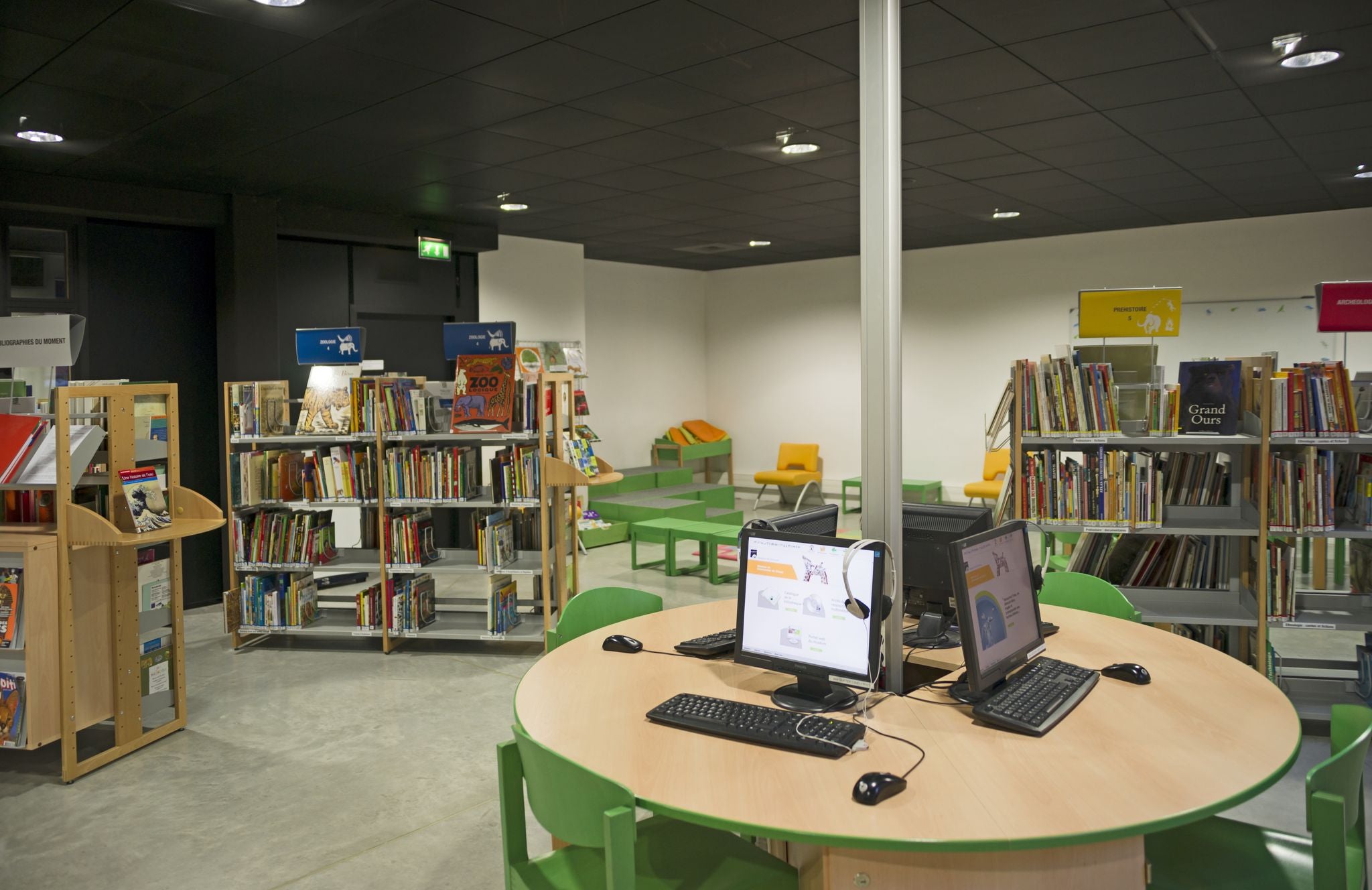 The Youth Media Library