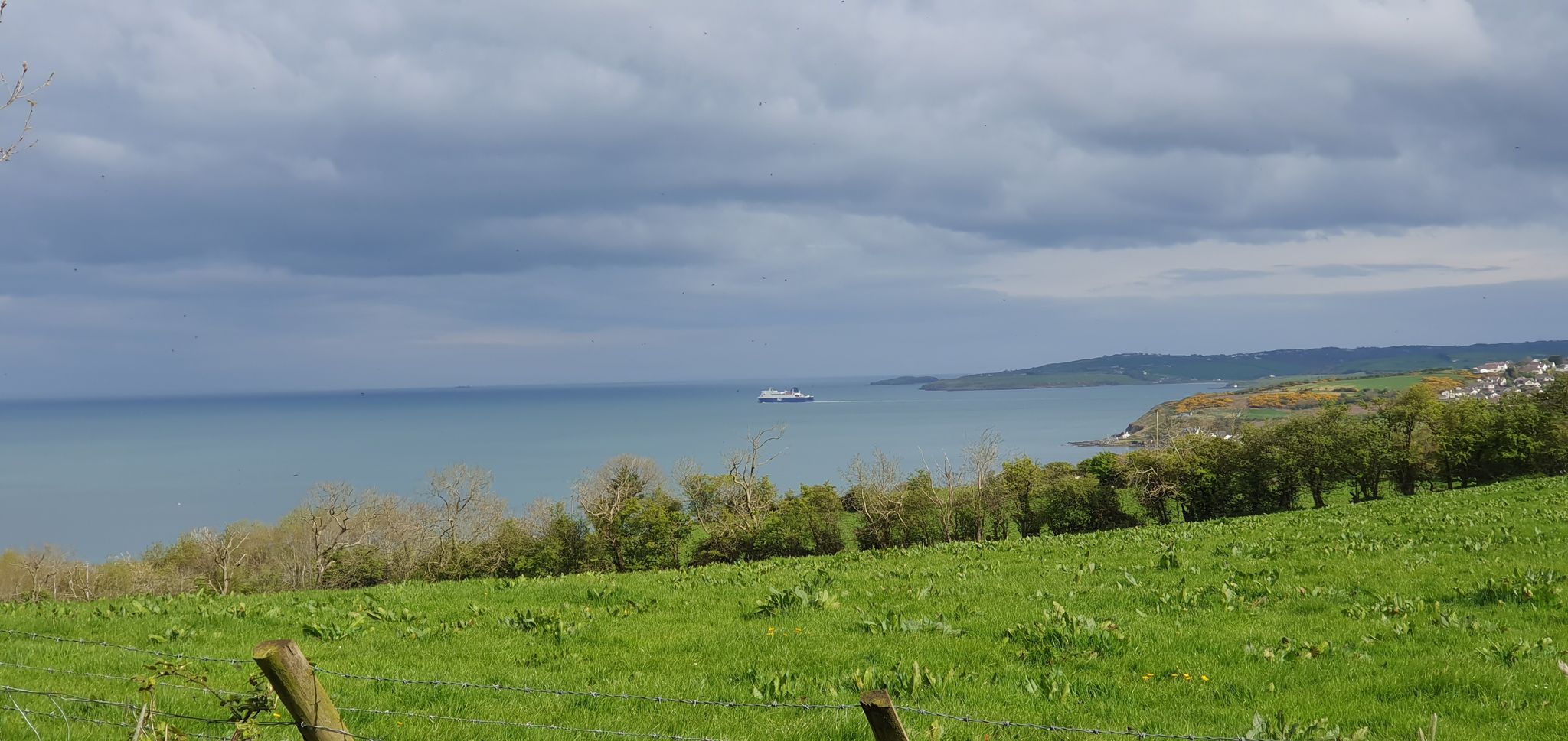 Carnfunnock Country Park.