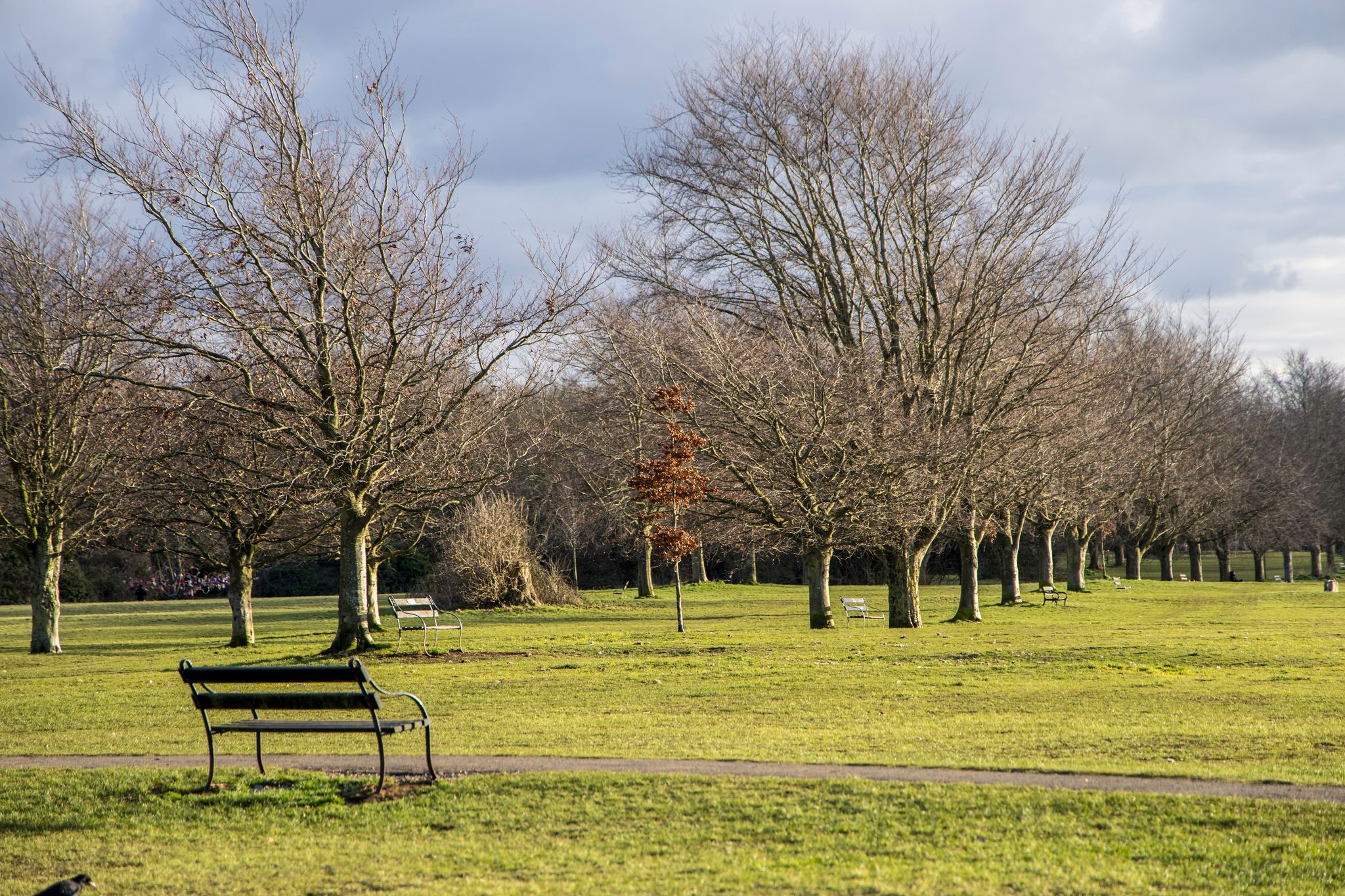 Clifton Down travel guide