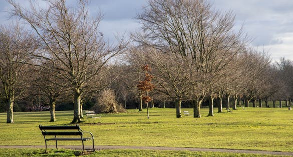 Photo of Bristol Clifton Down Park and Garden, UK.