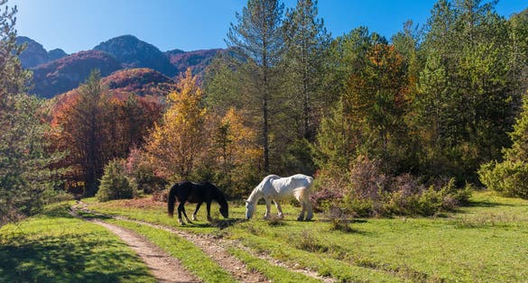 National Park of Abruzzo, Lazio and Molise (Italy) - The autumn foliage in the italian mountain natural reserve, with little old towns, the Barrea Lake, Camosciara, Forca d'Acero, Val Fondillo