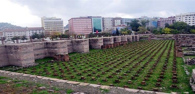 Half Day Private Tour in Ankara