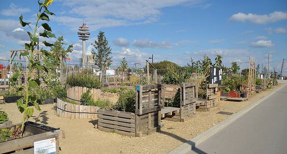 photo of view of Helmut-Zilk-Park, Vienna, Austria.