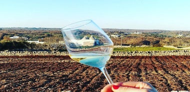 Wine Experience: vineyard, wines and food