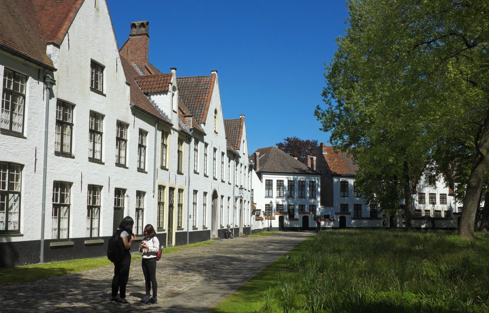 the Beguinage Ten Wijngaerde in Bruges in may-min-min.jpg
