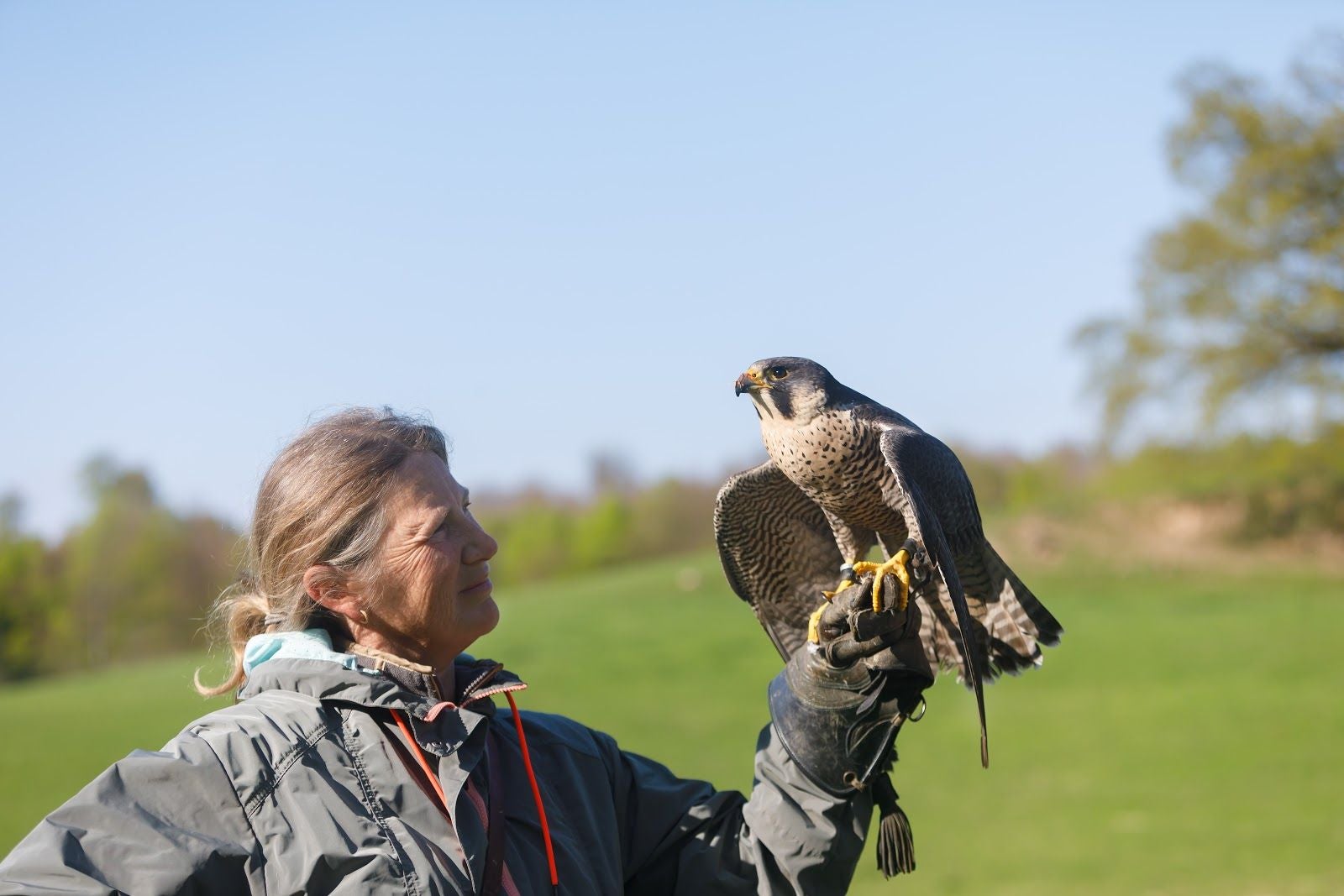 Falkonergården, Fredensborg Municipality, Capital Region of Denmark, Denmark