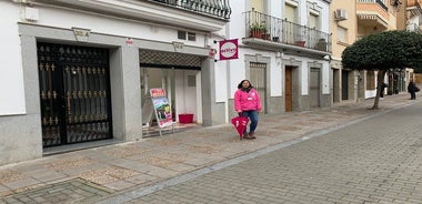 Full Merida Tour with tickets