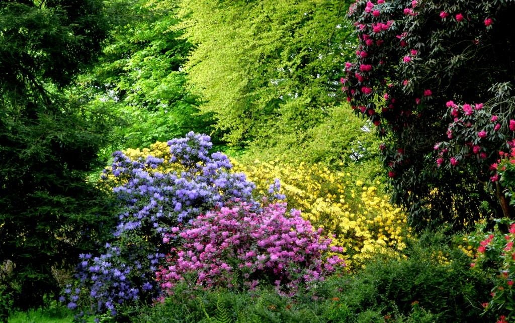 Galloway House Gardens, Dumfries and Galloway, Scotland, United Kingdom