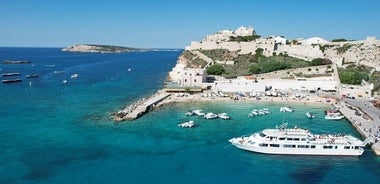  Isole Tremiti from Vieste Ferry and Boat Tour