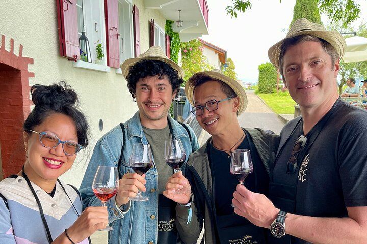 Gourmet Food and Wine Tasting Walk in Lavaux