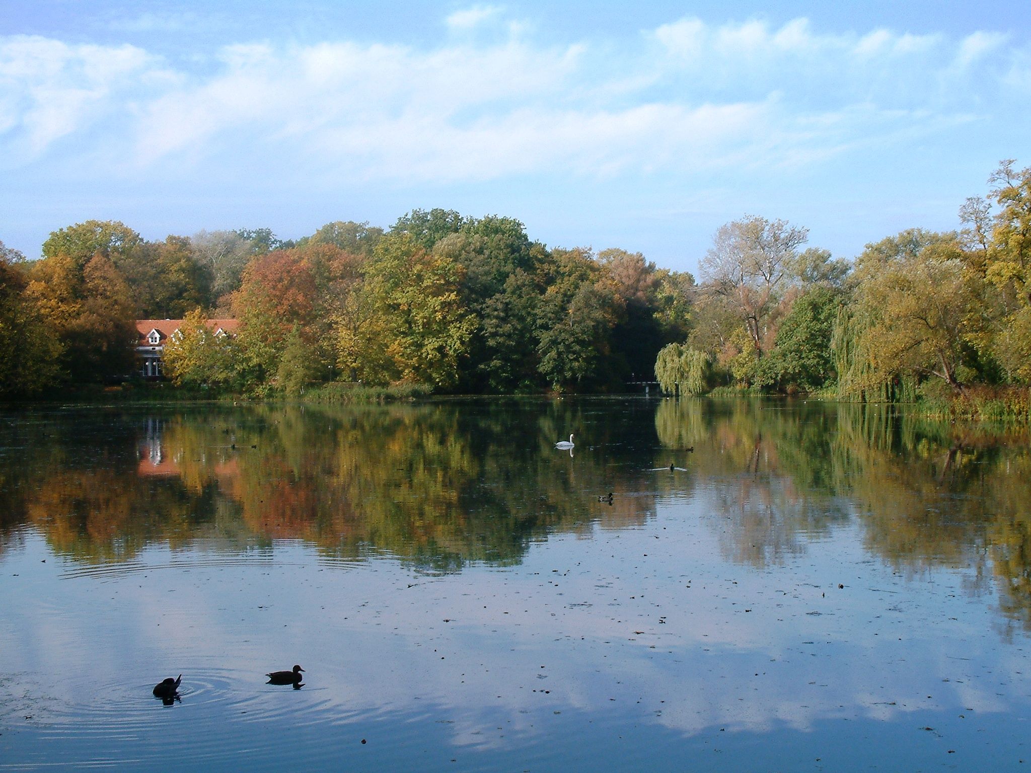 Sołacki Park