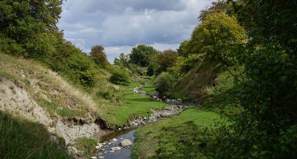 photo of Rinnebäck Gorge Nature preserve in Lund, Sweden.