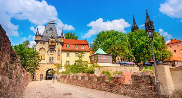 View of Meissen, saxony, with vine yard in summer