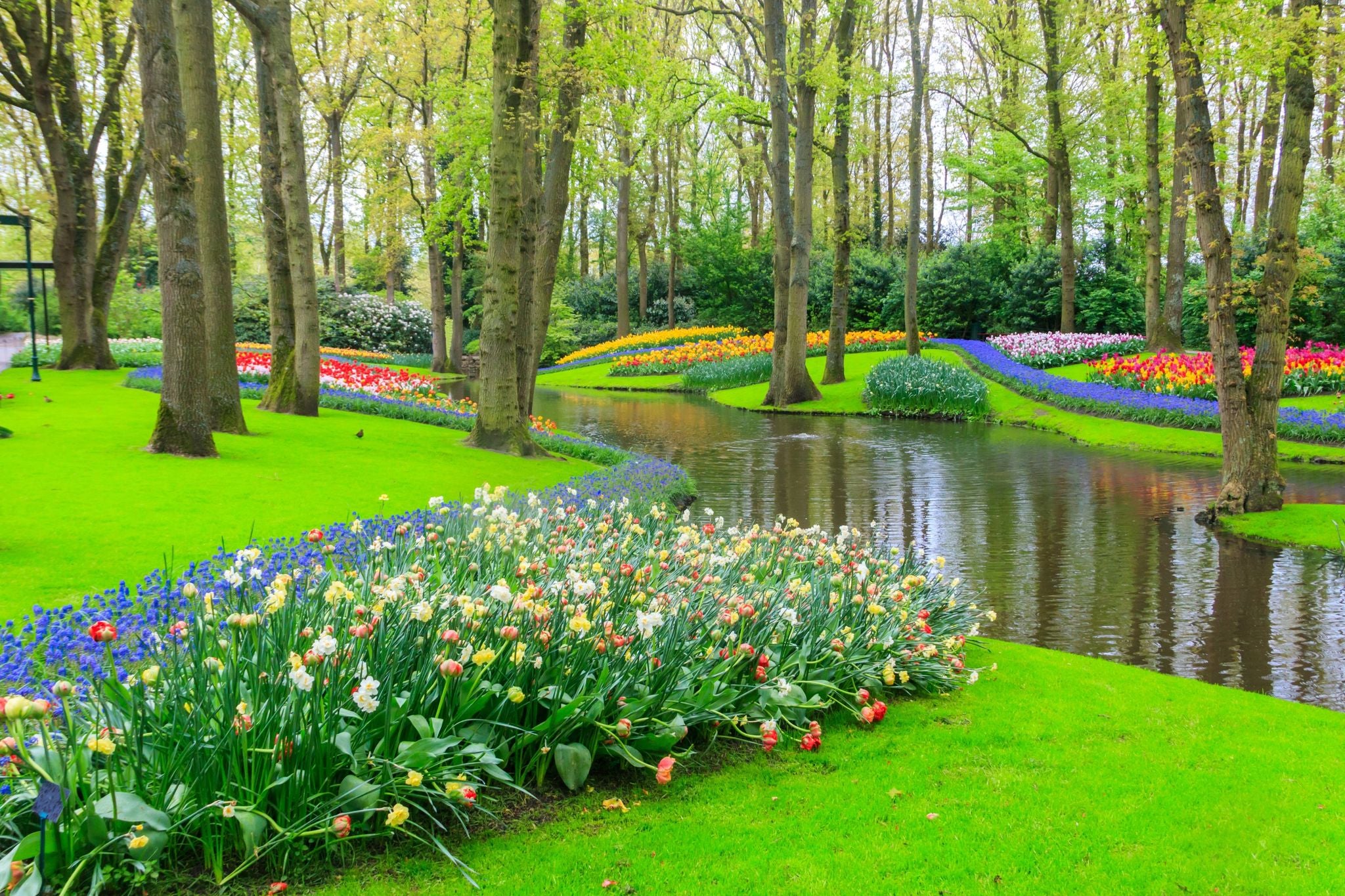 Keukenhof Gardens.jpg