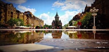 From Belgrade: Private Day Trip to Romania