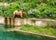 Photo of a Bear is walking along edge of pool in Bern Bear Pit (Barengraben) in Bern Bear Park, Berne, Switzerland.