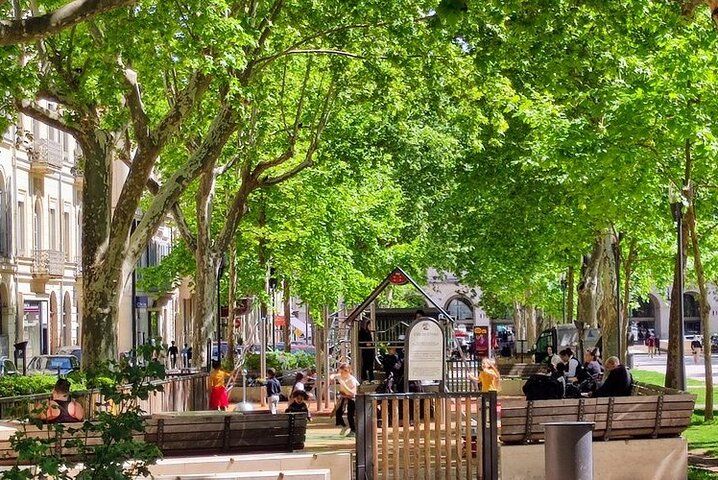 A Private Guided Historical and Cultural Tour in Nîmes 