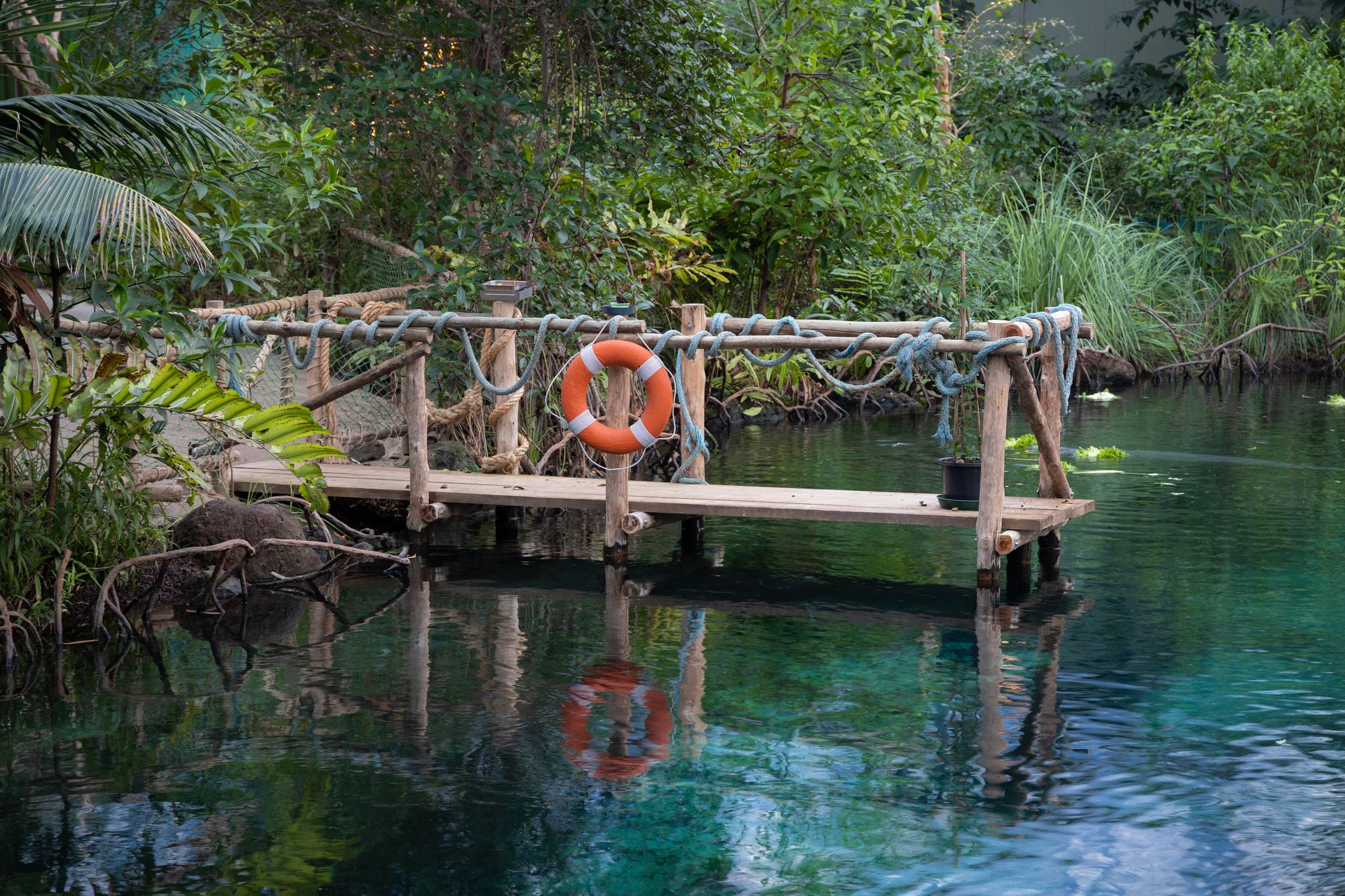 Photo of The world largest mangrove hall in Burgers' Zoo in The Netherlands.