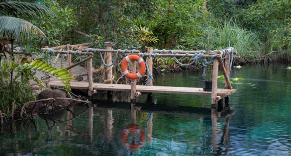 Photo of The world largest mangrove hall in Burgers' Zoo in The Netherlands.