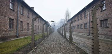 Krakow: Auschwitz-Birkenau Guided Tour or Self-Guided Tour