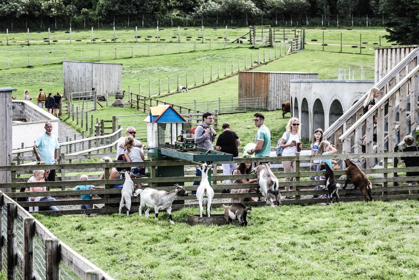 Heads Of Ayr Farm Park, South Ayrshire, Scotland, United Kingdom