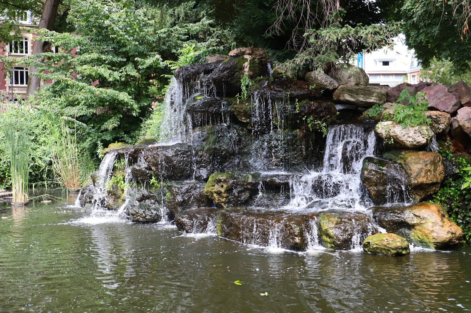 Square Verdrel, Quartier Vieux-Marché Cathédrale, Rouen, Seine-Maritime, Normandy, Metropolitan France, France