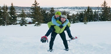 Snowshoeing - Winter Day Trip in Bodo, Northern Norway