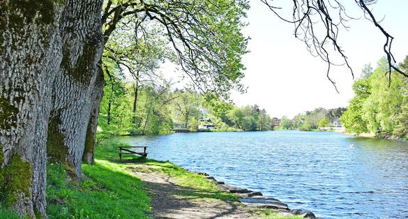 View of the park in the Arendal city of Norway in the sunny day. park on the side of the river. city park, the relaxing Place in the city With alot of trees and beautiful Natural around.