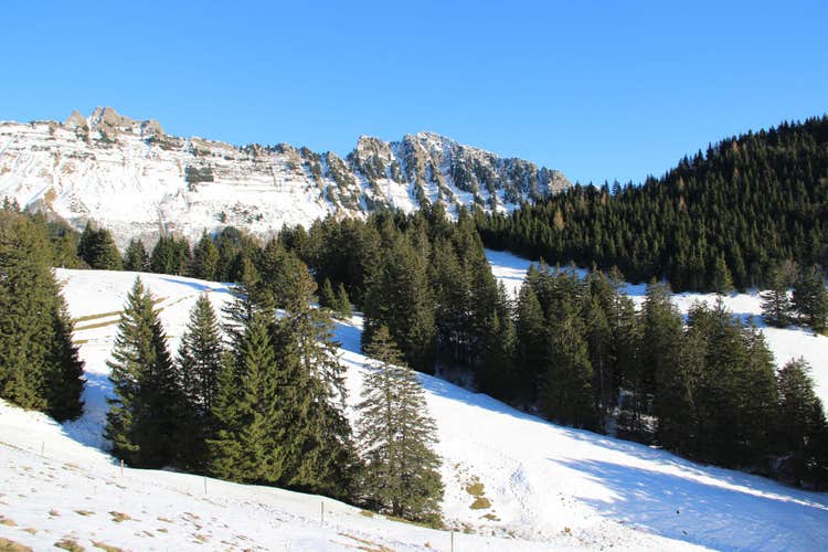 6-дневная лыжная поездка в Ле-Мос, Швейцария