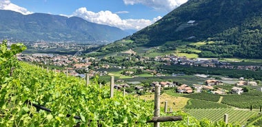 From Meran to Lake Garda Hike & Charm