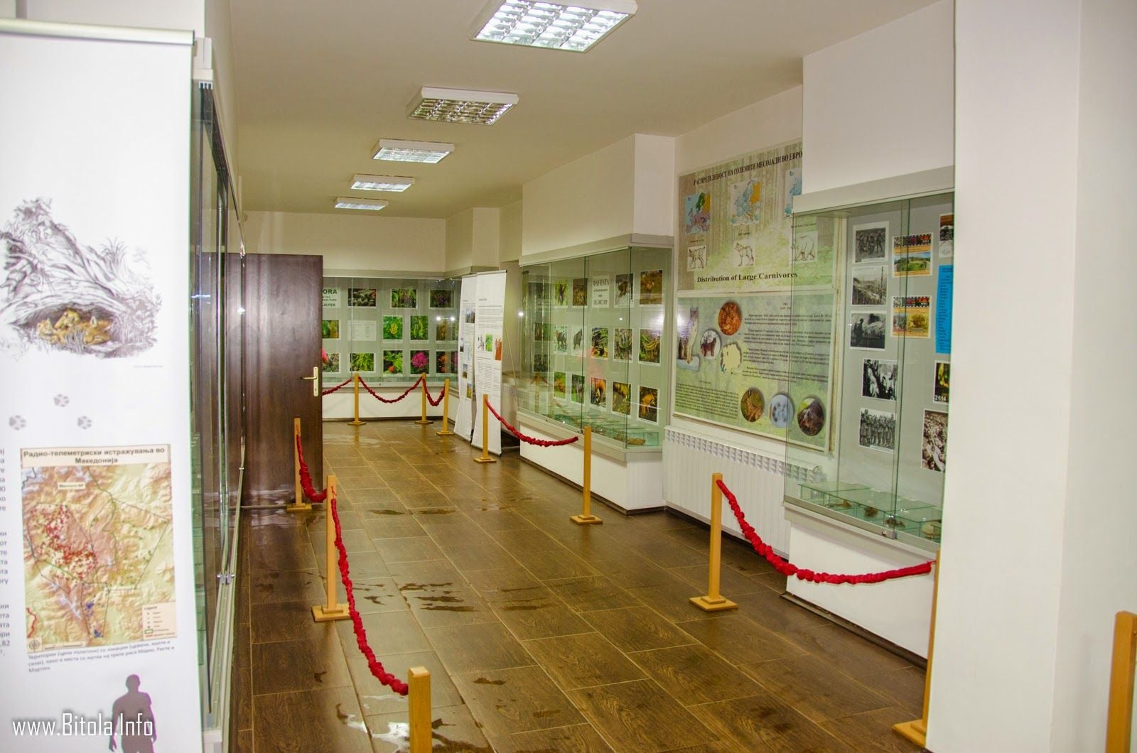 Infocenter Pelister, Magarevo, Municipality of Bitola, Pelagonia Region, North Macedonia
