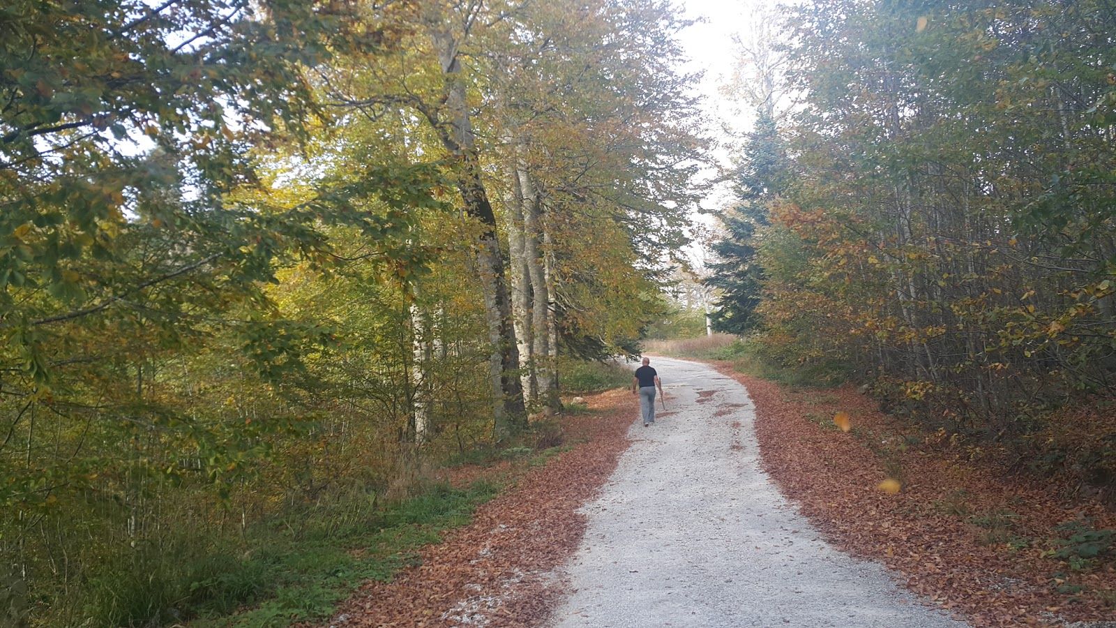 Kuzuyayla Nature Park, Sultaniye Mahallesi, Kartepe, Kocaeli, Marmara Region, Turkey