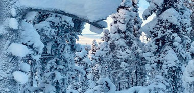 Saariselkä: Snowshoes adventure on the snowy fells