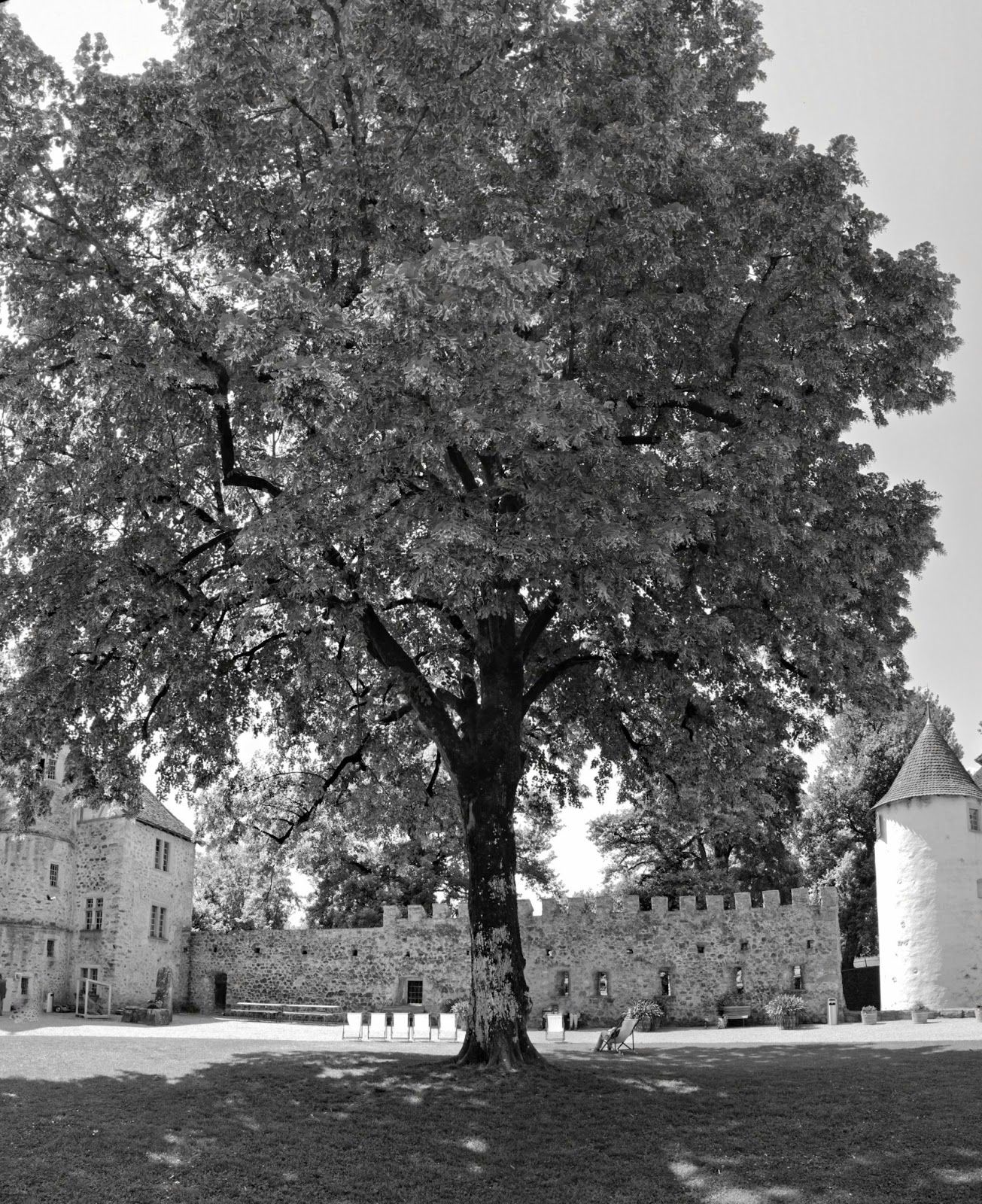 Castle Hallwyl, Seengen, Bezirk Lenzburg, Aargau, Switzerland