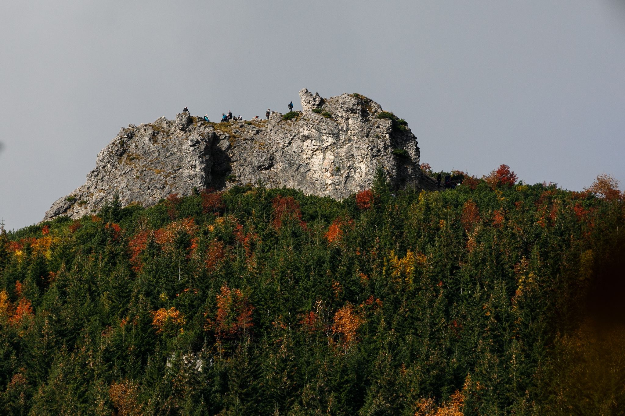 A view of the multicolored autumnal forest and the summit of Sarnia Skała (approximately 1,377 meters above sea level) in the Tatra National Park mountain range from the Dolina Białego trail.