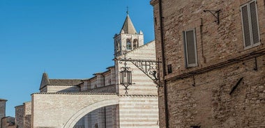 Private St. Francis Basilica of Assisi and City Walking Tour
