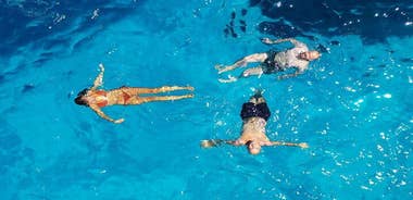 Egadi Islands Boat Tour to Favignana and Levanzo from Trapani