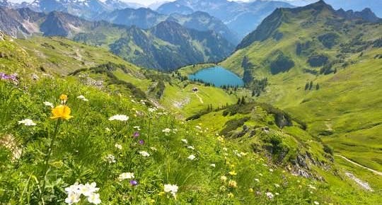 photo of Bavaria,Munich germany.