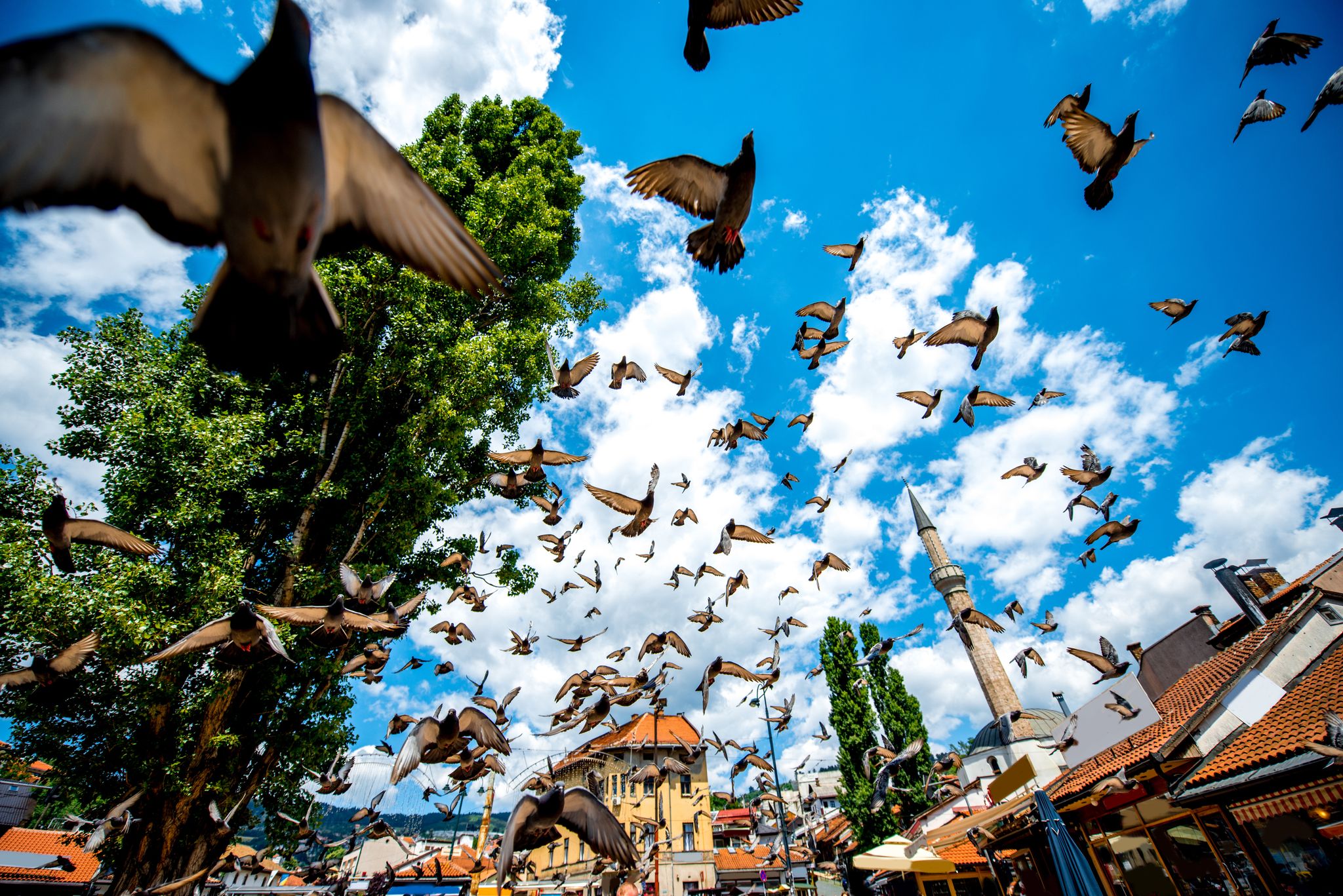 Photo of old square with flying pigeons in Sarajevo city center, the capital of Bosnia and Herzegovina.