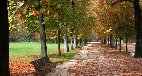 Parma, Italy - Emilia-Romagna region. Ducale Park - autumn view with chestnut trees.