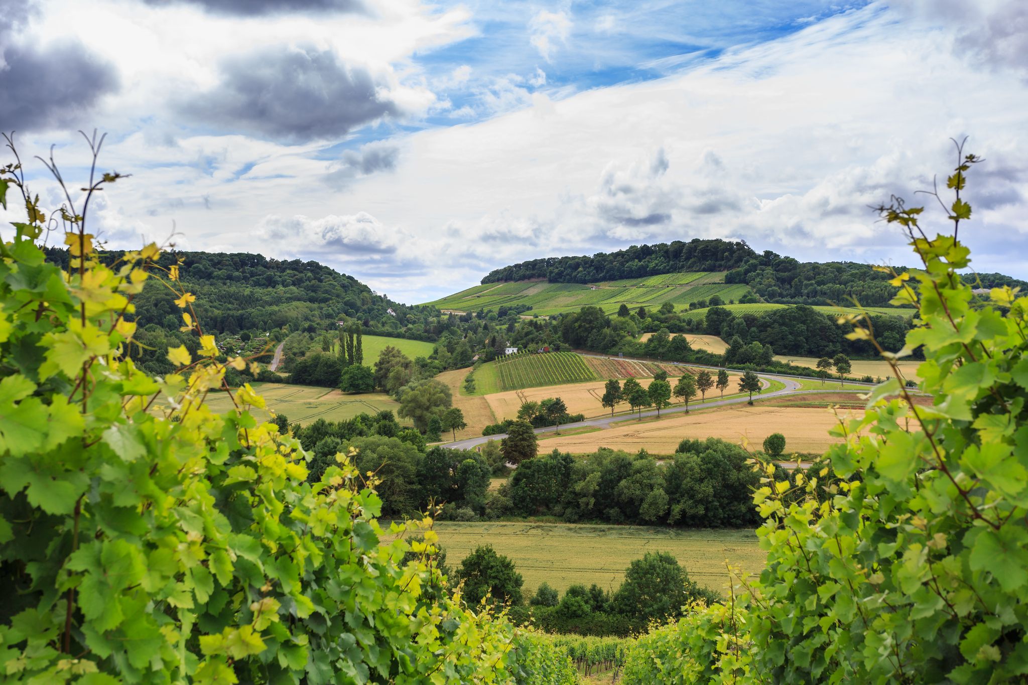 Photo of Vineyards and dramatic storm clouds, Heilbronn, Germany. Schemelsberg Weinsberg vineyard and the panoramic view of the hills in Heilbronn, Baden Wuerttemberg, South Germany .