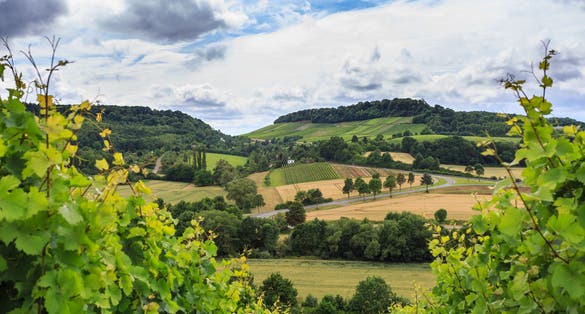 Photo of Vineyards and dramatic storm clouds, Heilbronn, Germany. Schemelsberg Weinsberg vineyard and the panoramic view of the hills in Heilbronn, Baden Wuerttemberg, South Germany .