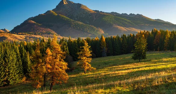 Photo of The High Tatras Mountains (Vysoké Tatry, Tatry Wysokie, Magas-Tátra), sunrise view with clear sky, view of Kriváň, Slovakia .