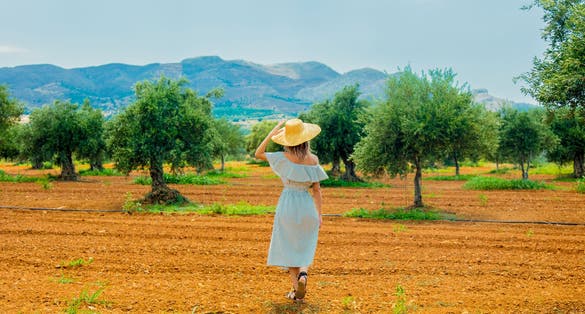Photo of a tourist having a rest in greek olive garden in Heraklion, Crete, Greece.