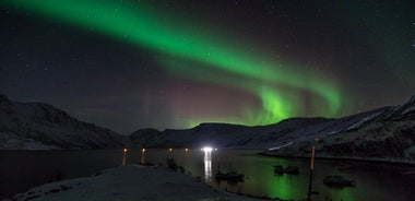 Small-Group Northern Lights Tour from Alta, Norway