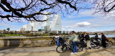 The Best of Basel: 2.5–3 Hour Guided Bike Tour