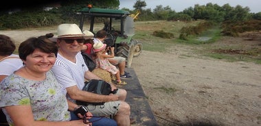 Flamingos and traditions of Camargue Nature Park